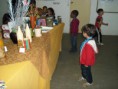 /album/galeria-de-fotos1/alunostia-lanjandira-2013-086-jpg/
